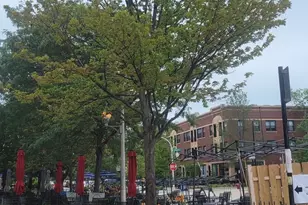 1628 W Juneway Ave, Chicago, IL 60626 - Photo 46