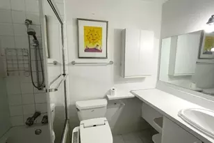 230 E Ontario St, Chicago, IL 60611 - Photo 10