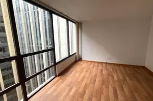 230 E Ontario St, Chicago, IL 60611 - Photo 8