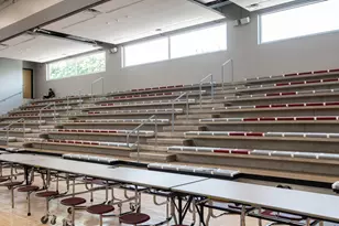 8725 S May St, Chicago, IL 60620 - Photo 92