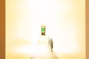 8725 S May St, Chicago, IL 60620 - Photo 66