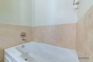915 S Oak Park Ave, Oak Park, IL 60304 - Photo 28