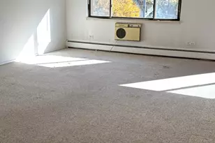 230 Duane St, Glen Ellyn, IL 60137 - Photo 4