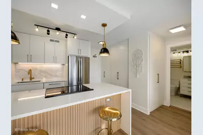 1360 N Sandburg Terrace #1209C, Chicago, IL 60610 - Photo 4