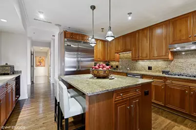 1155 N Dearborn Street #1003, Chicago, IL 60610 - Photo 6