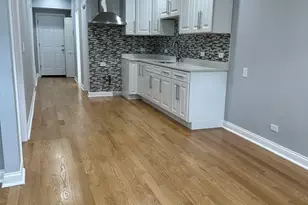 2002 W 21st Pl, Chicago, IL 60608 - Photo 2