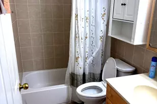 456 E Spruce Dr, Palatine, IL 60067 - Photo 10