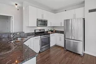 757 N Orleans St, Chicago, IL 60654 - Photo 8