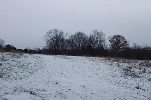 12530 Messmer Rd, Savanna, IL 61074 - Photo 6