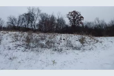 12530 Messmer Road, Savanna, IL 61074 - Photo 4