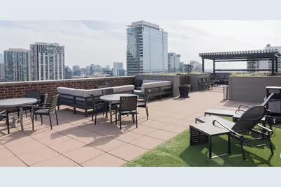 1250 N Dearborn Street #5B, Chicago, IL 60610 - Photo 50