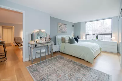 1250 N Dearborn Street #5B, Chicago, IL 60610 - Photo 24