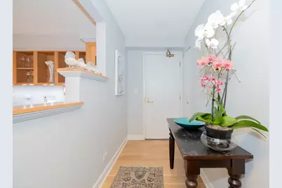 1250 N Dearborn Street #5B, Chicago, IL 60610 - Photo 4