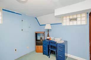 127 Belle Plaine Ave, Park Ridge, IL 60068 - Photo 42