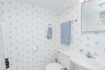 127 Belle Plaine Avenue, Park Ridge, IL 60068 - Photo 44