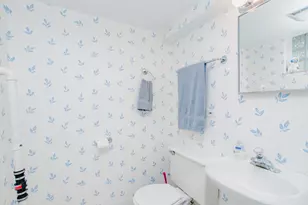 127 Belle Plaine Ave, Park Ridge, IL 60068 - Photo 44