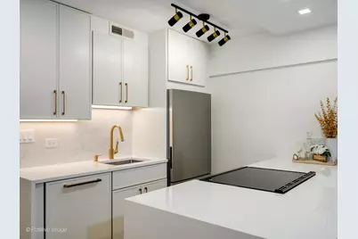 1360 N Sandburg Terrace #1807C, Chicago, IL 60610 - Photo 4