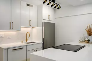 1360 N Sandburg Terrace, Chicago, IL 60610 - Photo 4