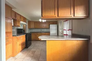 450 E Mulberry Ct, Glenwood, IL 60425 - Photo 4