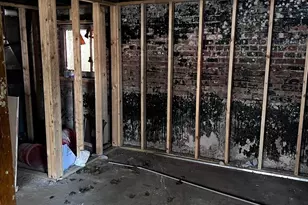 7513 S Langley Ave, Chicago, IL 60619 - Photo 22