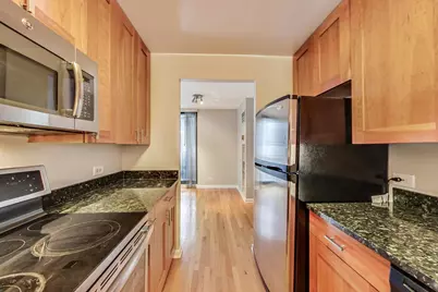 70 W Huron Street #1103, Chicago, IL 60610 - Photo 10