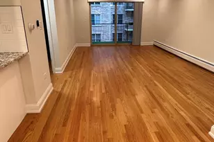 1 N Chestnut Ave, Arlington Heights, IL 60005 - Photo 8