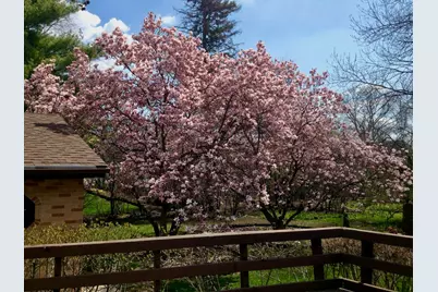 4925 Grand Avenue, Western Springs, IL 60558 - Photo 12