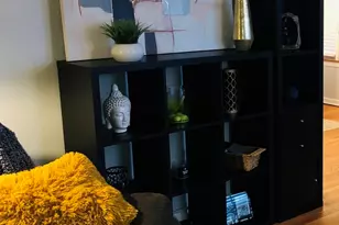 9044 S Merrill Ave, Chicago, IL 60617 - Photo 16