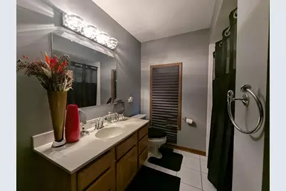 339 S Dorchester Avenue, Glenwood, IL 60425 - Photo 8