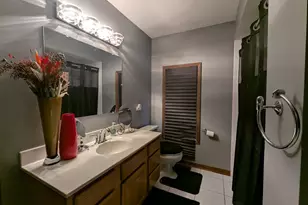 339 S Dorchester Ave, Glenwood, IL 60425 - Photo 8