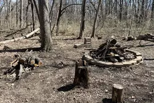 37 Conservation Ct, Lasalle, IL 61301 - Photo 32