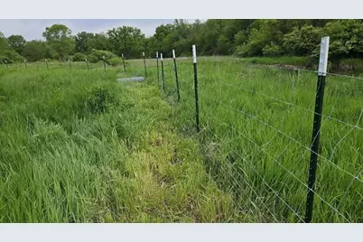 11071 Crimmin Road, Newark, IL 60541 - Photo 6