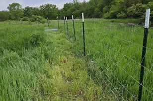 11071 Crimmin Rd, Newark, IL 60541 - Photo 6