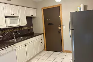 9717 Bianco Terrace, Des Plaines, IL 60016 - Photo 4