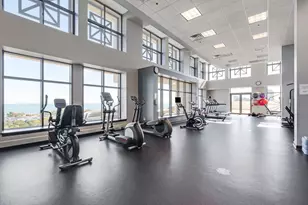 1335 S Prairie Ave, Chicago, IL 60605 - Photo 24