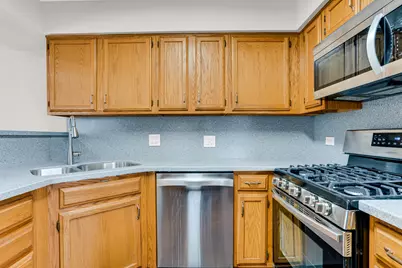 133 White Branch Court S #133, Schaumburg, IL 60194 - Photo 12