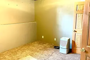 13375 Springhill Dr, Winnebago, IL 61088 - Photo 28