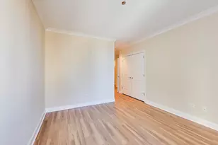 10 E Delaware Pl, Chicago, IL 60610 - Photo 14