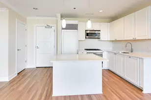 10 E Delaware Pl, Chicago, IL 60610 - Photo 10