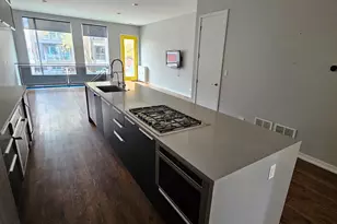 1013 N Honore St, Chicago, IL 60622 - Photo 10