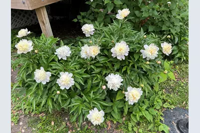 932 Circle Avenue, Forest Park, IL 60130 - Photo 26