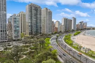 1100 N Lake Shore Dr, Chicago, IL 60611 - Photo 22