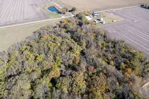 7035 E Scully Rd, Gardner, IL 60424 - Photo 22
