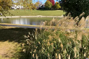 1712 Coach Dr, Naperville, IL 60565 - Photo 26