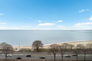 1150 N Lake Shore Dr, Chicago, IL 60611 - Photo 4