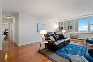 1150 N Lake Shore Dr, Chicago, IL 60611 - Photo 10