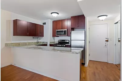 1150 N Lake Shore Drive #9F, Chicago, IL 60611 - Photo 8