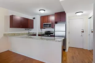 1150 N Lake Shore Dr, Chicago, IL 60611 - Photo 8