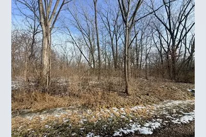 4802 Brorson Lane, Johnsburg, IL 60051 - Photo 4