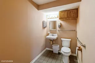 217 55th St, Clarendon Hills, IL 60514 - Photo 10